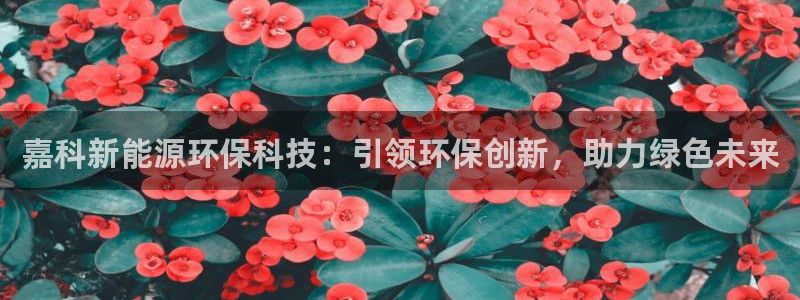 sunbet最新登陆