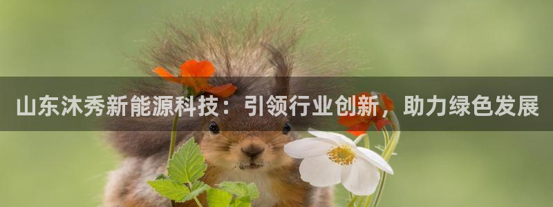 sunbet官网代理下载