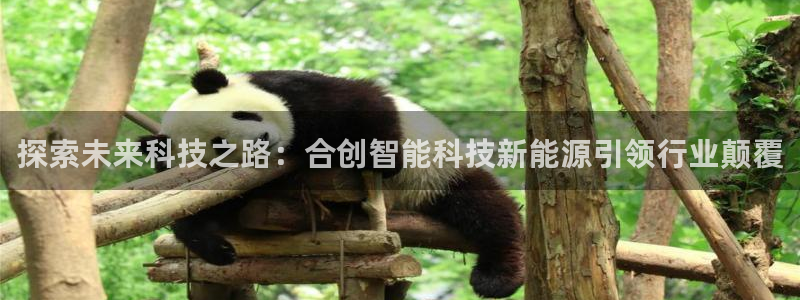 申慱sunbet网站