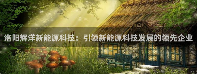sunbet程序