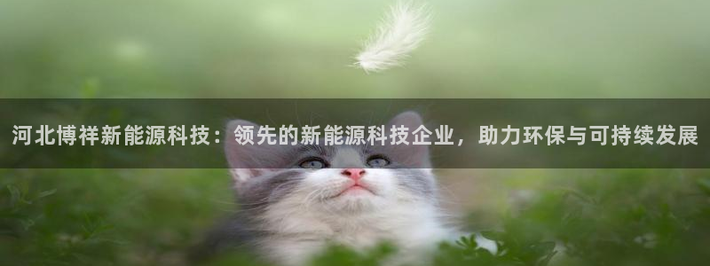 申慱sunbet版app
