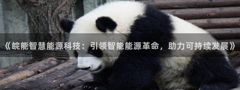 sunbet手机网页版