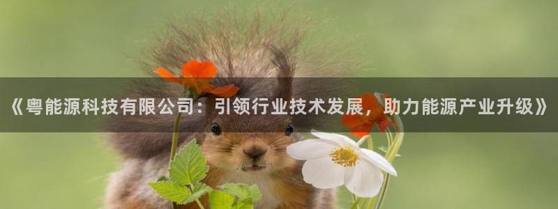 sunbet游戏网