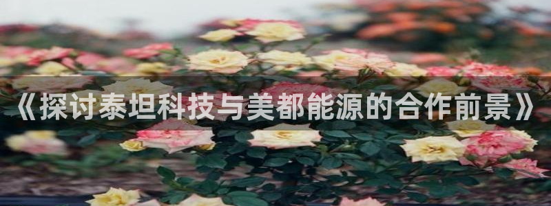 sunbet首页登录入口