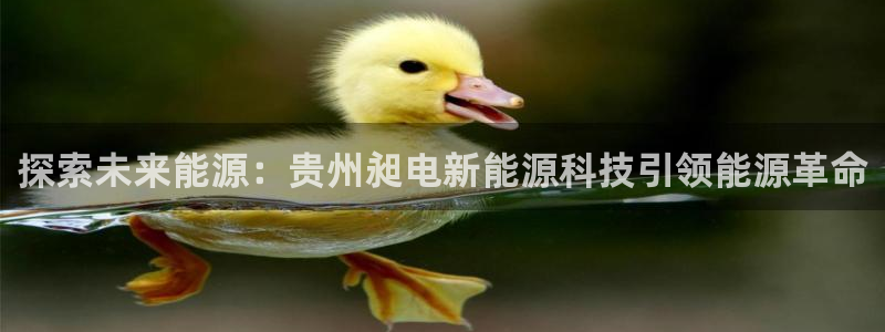 sunbet安卓下载