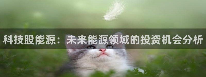 sunbet苹果app