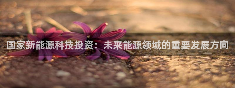 申博官方网站手机版下载