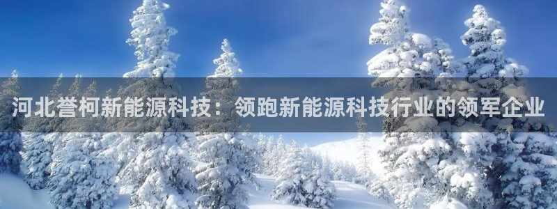 sunbet最新登陆