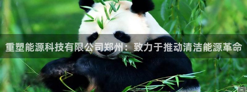 sunbet官网手机版登录