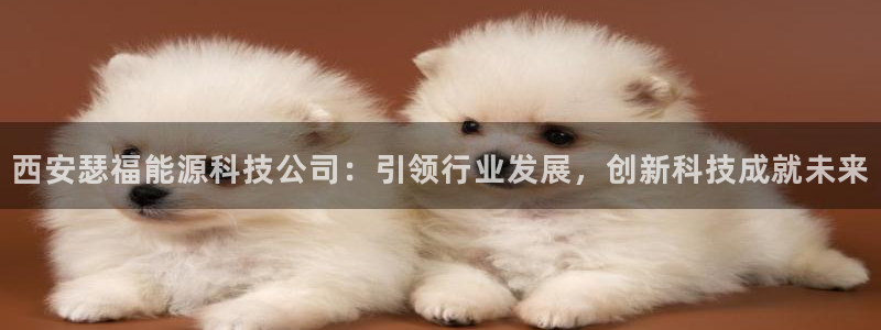 sunbet苹果官网下载