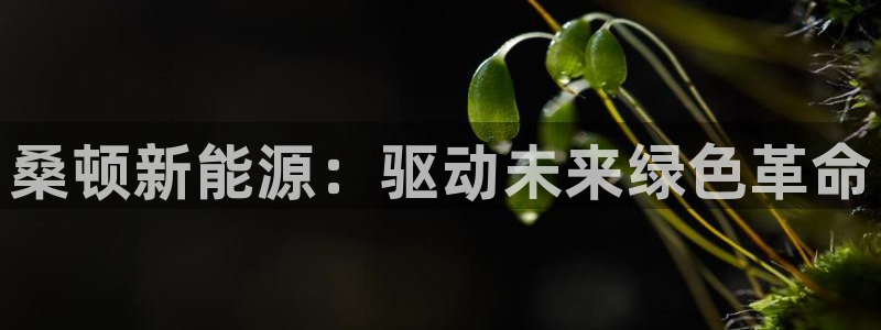 申博app下载