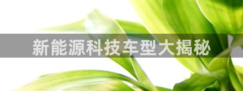 sunbet手机版官网下载