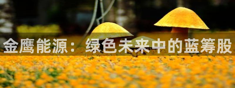 sunbet官网开户登录手机版