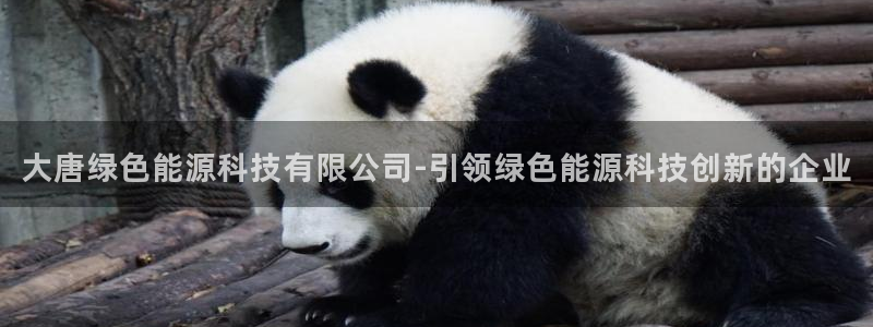 申博app下载