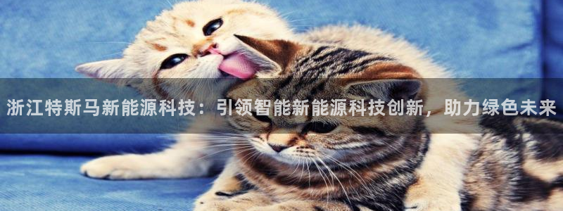 申博手机版官网