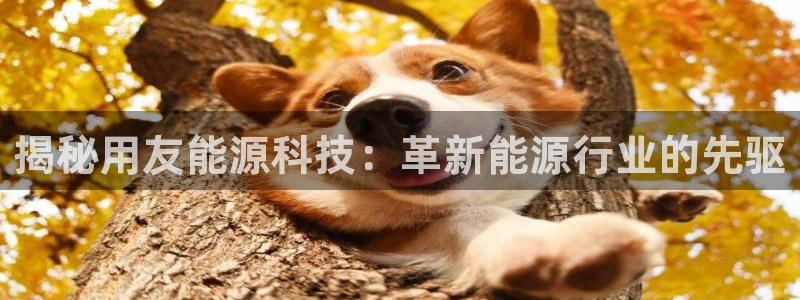 进入sunbet官网手机版登陆