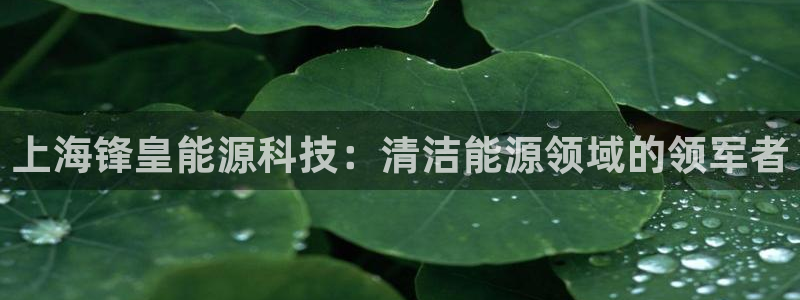 申慱sunbet网站