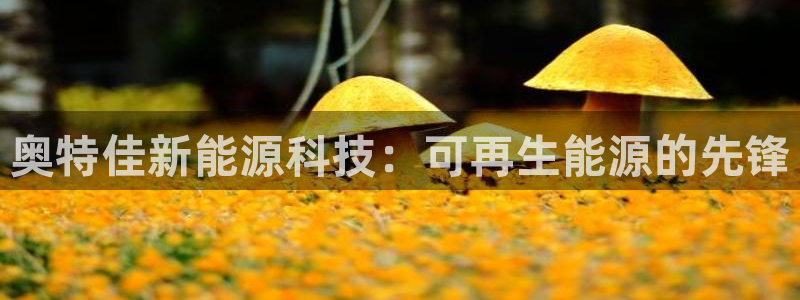 sunbet官网手机版