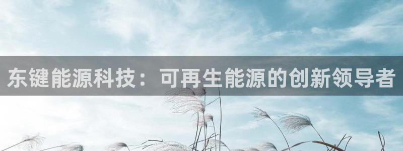 sunbet最新消息