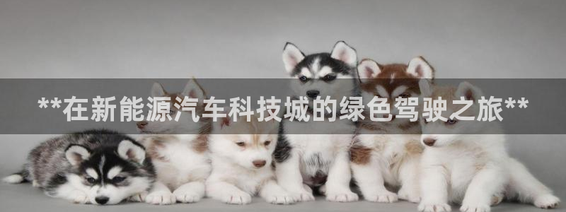 申博手机网址