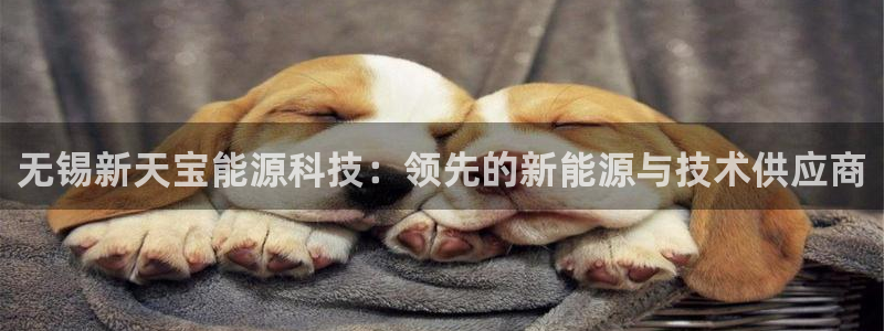sunbet首页登录入口