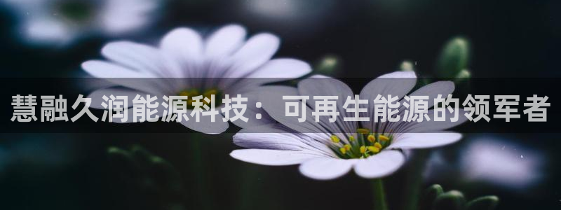 sunbet官网代理下载