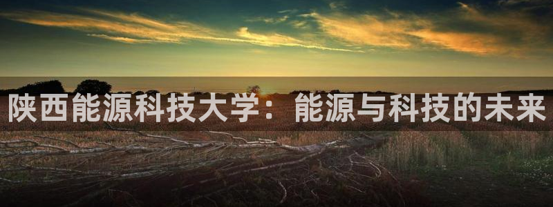 sunbet手机端