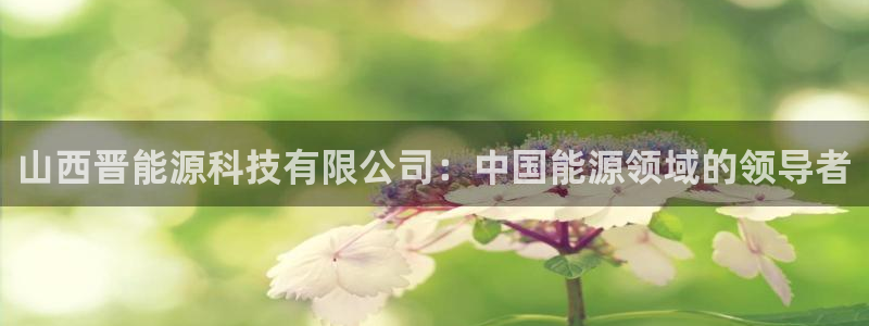 sunbet官网手机版