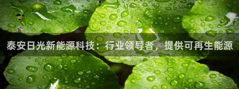 sunbet手机版官网下载