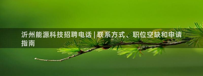 sunbet程序