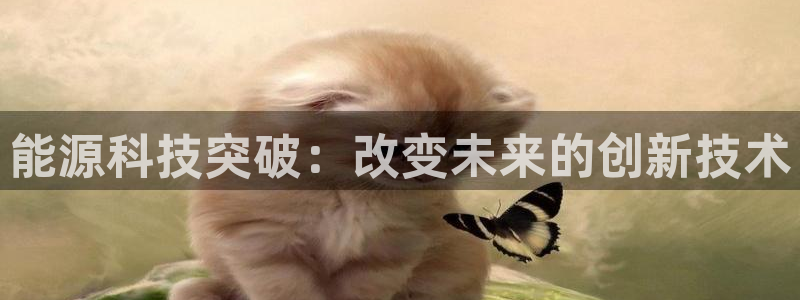 sunbet首页登录入口