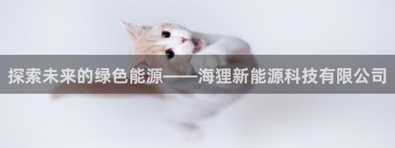 sunbet英语翻译