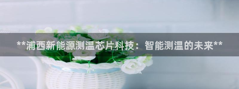 sunbet游戏网