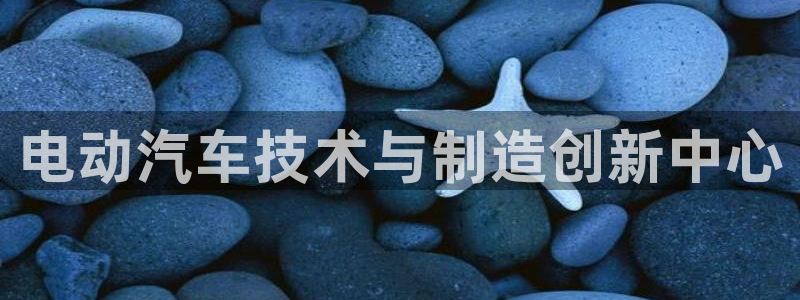 sunbet源码