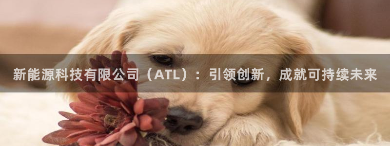 sunbet燃气灶