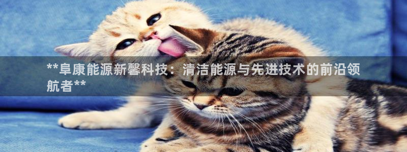 sunbet游戏网