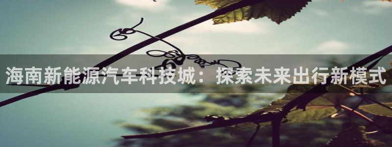sunbet官网手机版登录