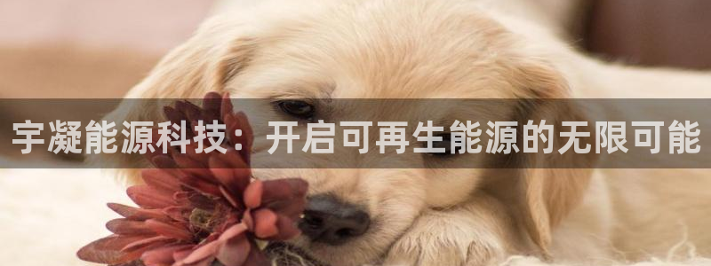 sunbet官网开户登录手机版