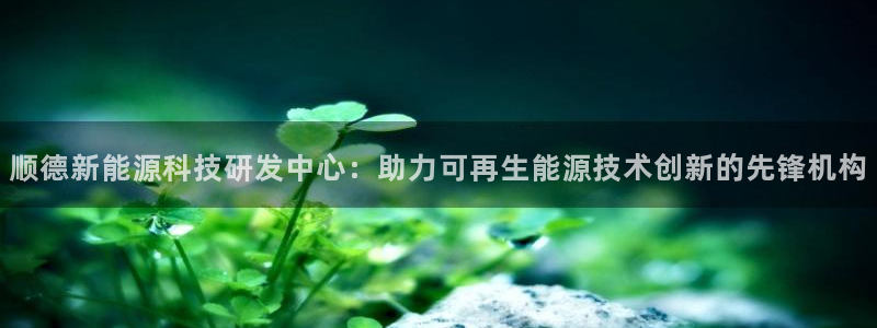 sunbet官网app首页