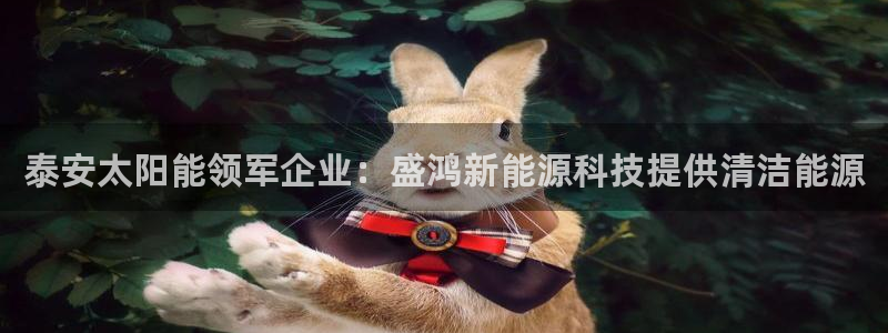 sunbet英语翻译