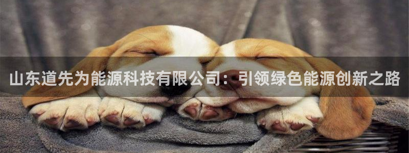 sunbet中国官网