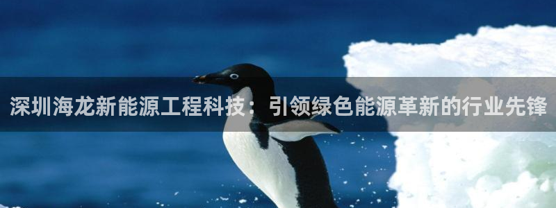 sunbet最新登陆