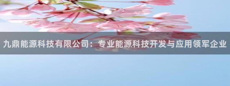 sunbet最新消息