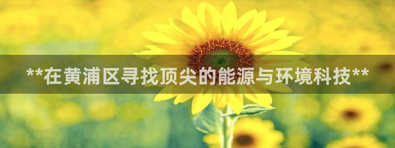 sunbet苹果app