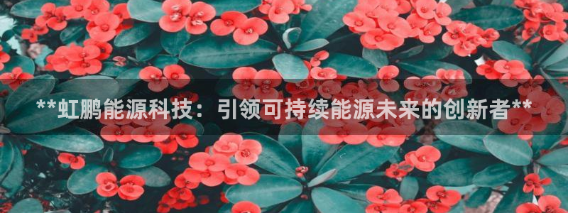 申慱sunbet网站