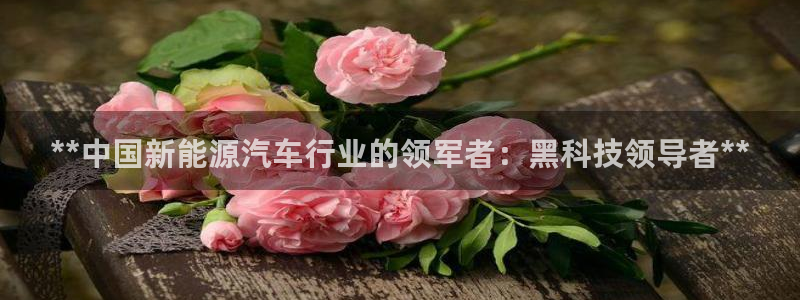 sunbet英语翻译