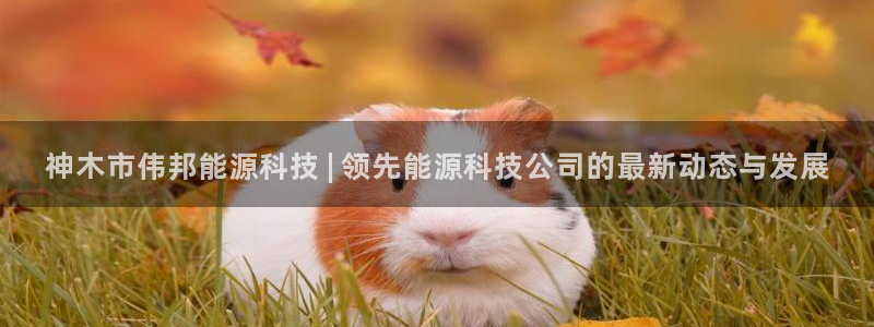 sunbet申搏官网