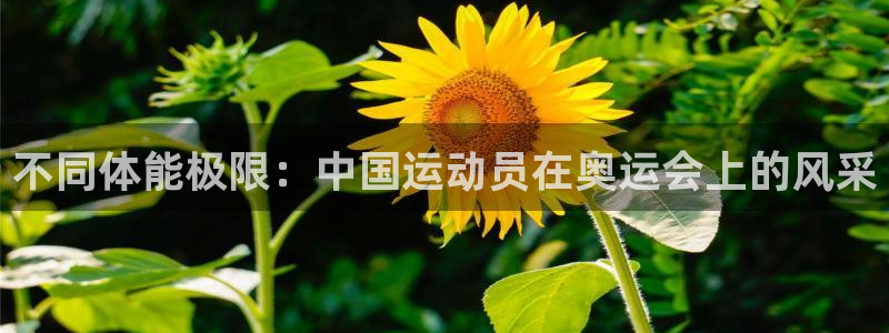 3377体育官方app下载