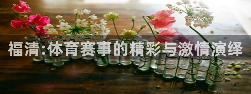 3377体育(中国)官方网站