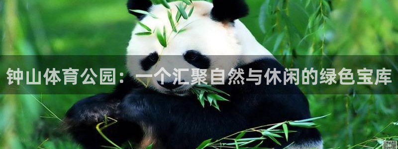 3377体育手机平台
